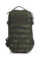 Рюкзак тактический Армада 2, 20 л, цифра, оксфорд, ТАЙФ
