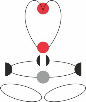 Привязь ACCESS XT BLACK, размер L-XXL, CAMP