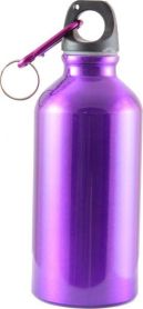 Бутылка питьевая с карабином 400мл