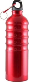 Бутылка питьевая с карабином 750мл